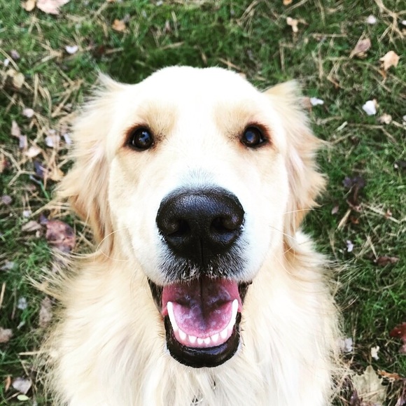 Meet your Posher, Melanie - Picture 1 of 1